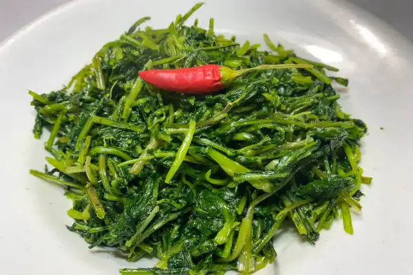 Un piatto invitante di cicoria ripassata in padella, con un peperoncino rosso a dare un tocco di colore e piccantezza.