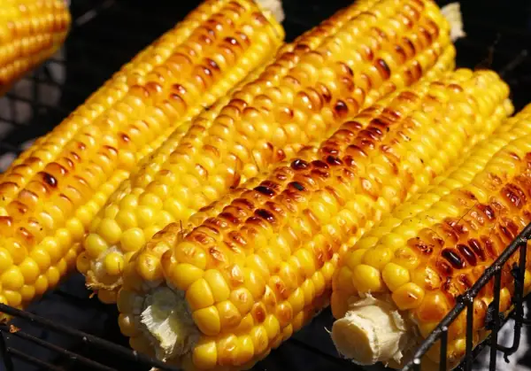 Pannocchie dorate e succose, pronte per essere gustate. Ecco come cucinare le pannocchie alla griglia per un sapore indimenticabile.